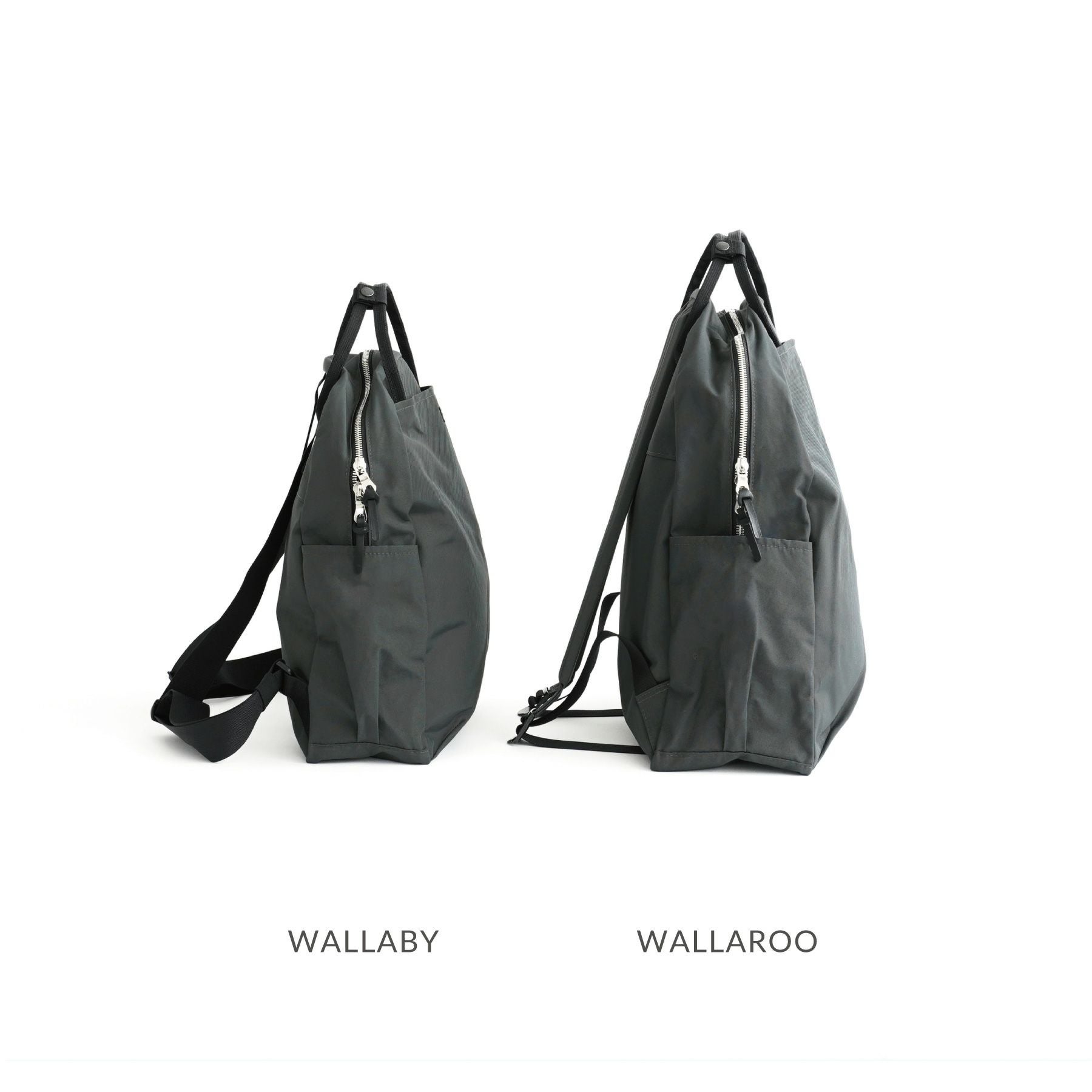 SIMPLICITY WALLABY ワラビー | evergreen works online store