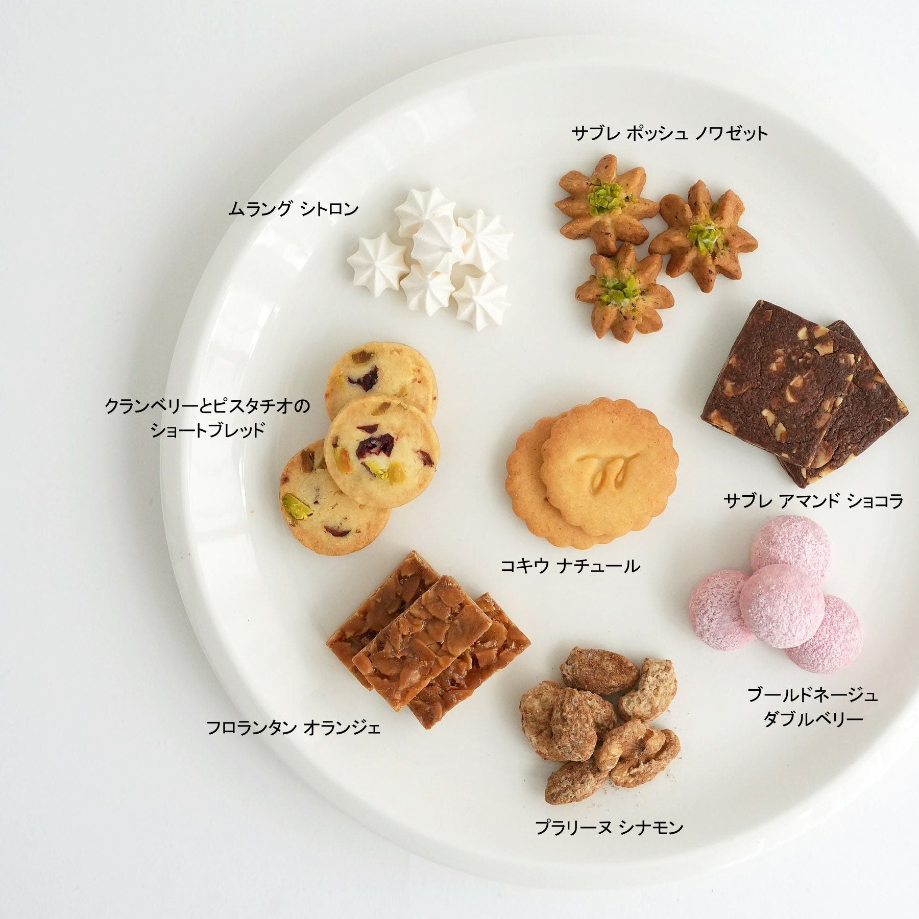 SPECIAL PRINTEMPS 春のスペシャル缶2026 | evergreen works online store